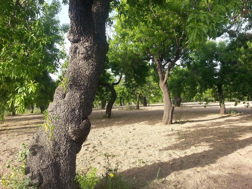 A Lumia Villa Noto Exterior photo