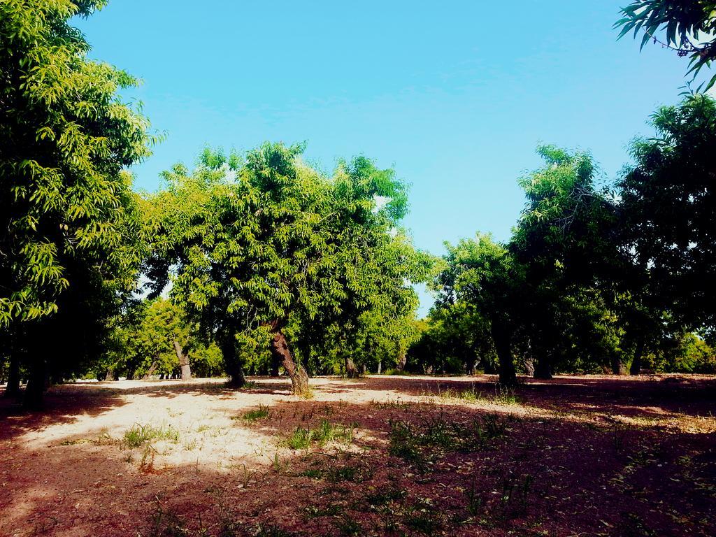 A Lumia Villa Noto Exterior photo