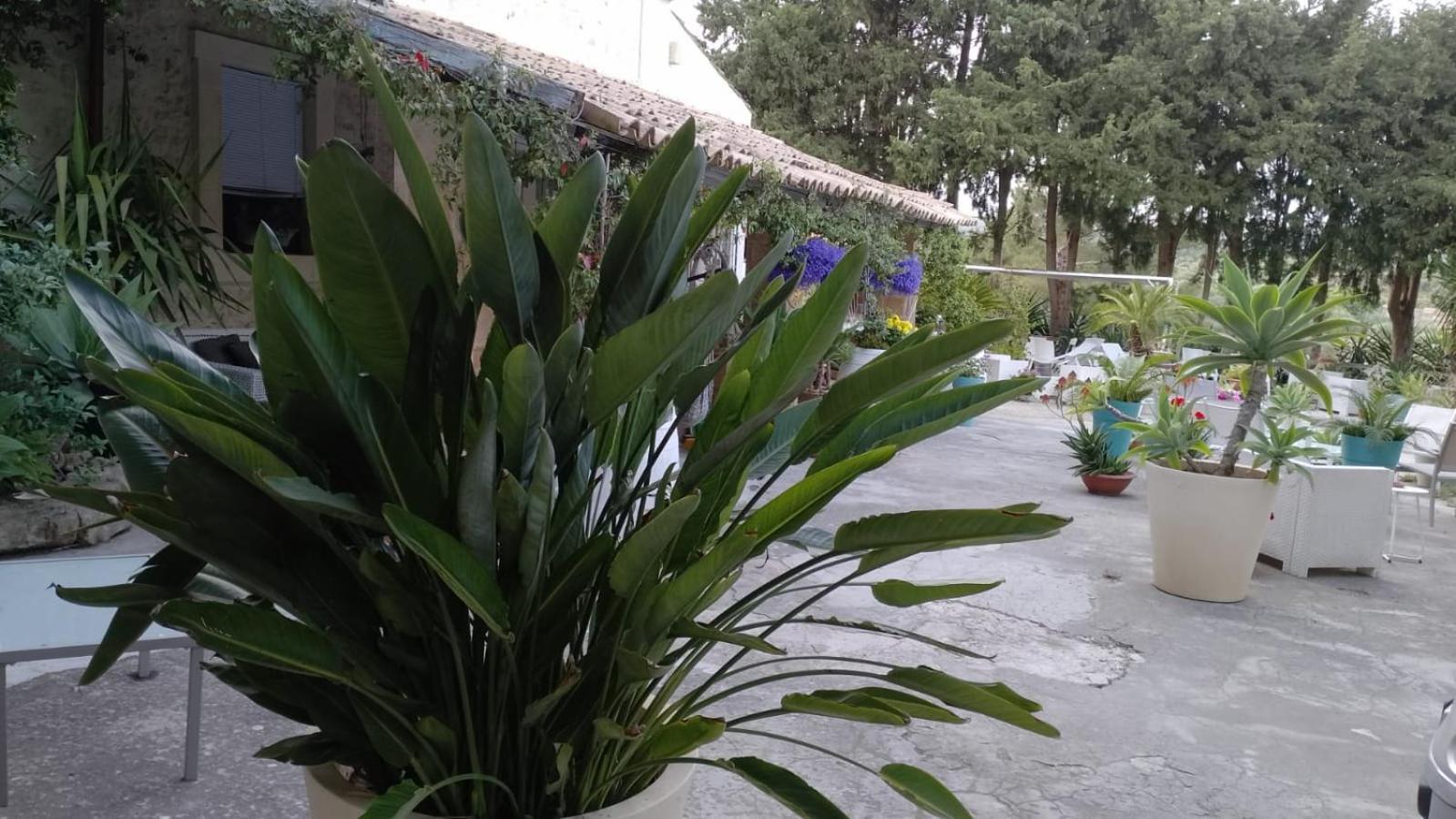 A Lumia Villa Noto Exterior photo